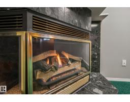 14724 73 St Nw, Edmonton, AB T5C0V8 Photo 41