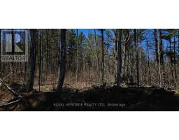 1061 Gull Lake Road, Frontenac, ON K0H1B0 Photo 20