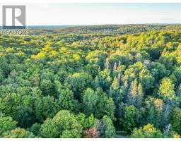 1709 Maple Road, Chisholm, ON P0H1Z0 Photo 10
