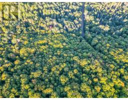 1709 Maple Road, Chisholm, ON P0H1Z0 Photo 8