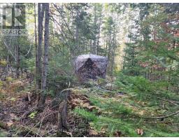 1181 Moot Lake Road, Lake Of Bays, ON P0B1A0 Photo 18