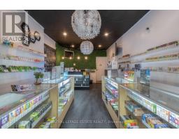 1562 Queen Street E, Toronto, ON M4L1E9 Photo 7