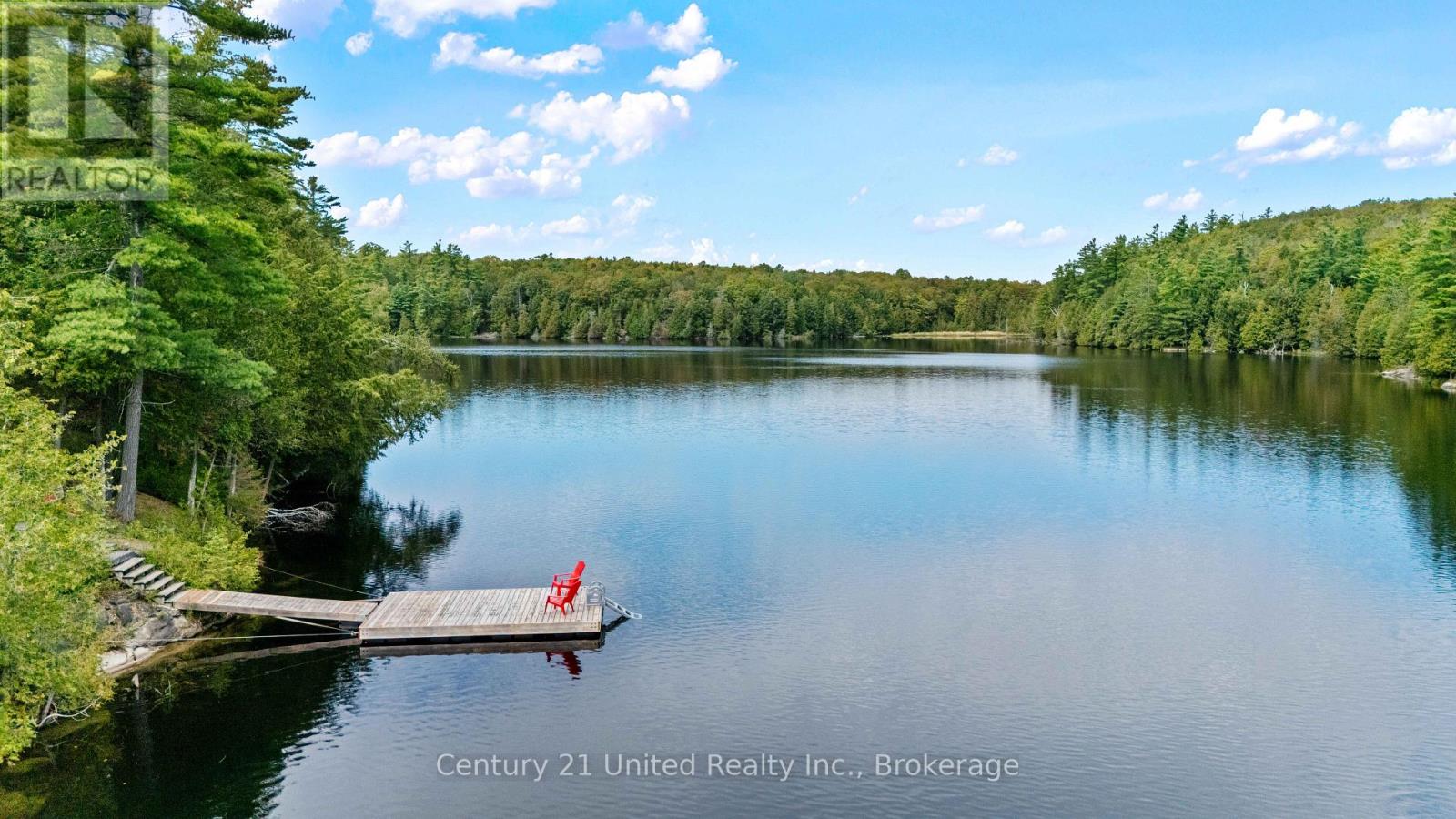 82 Fire Route 291, Trent Lakes, Ontario, K0L1J0, Trent Lakes, Ontario — photo 3 of 5