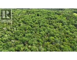 Lot 12-2 Hills Point Road, Oak Bay, NB E3L4K5 Photo 10