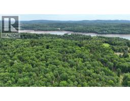 Lot 12-2 Hills Point Road, Oak Bay, NB E3L4K5 Photo 13