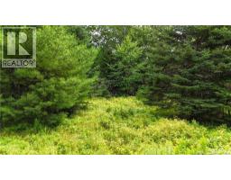 Lot 12-2 Hills Point Road, Oak Bay, NB E3L4K5 Photo 6