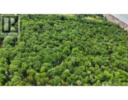 Lot 12-2 Hills Point Road, Oak Bay, NB E3L4K5 Photo 9