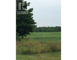 Pl17 62 Highway S, Prince Edward County, ON K0K1G0 Photo 7