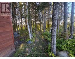 Lot 12 Summer Resort, Akaweskwa Lake Road, Sudbury Remote Area, ON P0M1T0 Photo 11