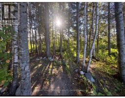 Lot 12 Summer Resort, Akaweskwa Lake Road, Sudbury Remote Area, ON P0M1T0 Photo 12
