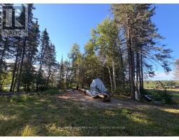 Lot 12 Summer Resort, Akaweskwa Lake Road, Sudbury Remote Area, ON P0M1T0 Photo 25