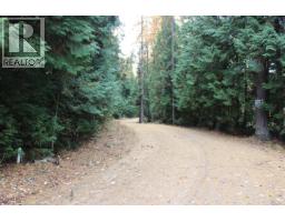 2640 3b Highway, Rossland, BC V0G1Y0 Photo 12
