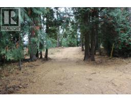 2640 3b Highway, Rossland, BC V0G1Y0 Photo 15