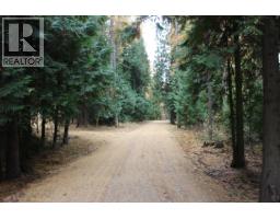2640 3b Highway, Rossland, BC V0G1Y0 Photo 13