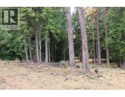 2640 3b Highway, Rossland, BC V0G1Y0 Photo 6