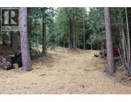 2640 3b Highway, Rossland, BC V0G1Y0 Photo 8