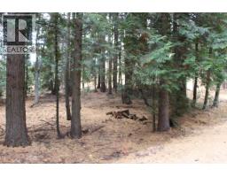 2640 3b Highway, Rossland, BC V0G1Y0 Photo 14