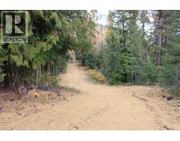 2640 3b Highway, Rossland, BC V0G1Y0 Photo 7