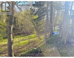 15 Humberstone Avenue, Brantford, ON N3S7A4 Photo 39