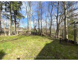 15 Humberstone Avenue, Brantford, ON N3S7A4 Photo 45