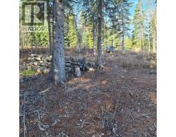 Lot 5 Bateman Road, Prince George, BC V2N6W1 Photo 9