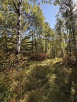 35111 Gueret 44e Road, La Broquerie, MB R0A0W0 Photo 25