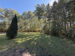 35111 Gueret 44e Road, La Broquerie, MB R0A0W0 Photo 27