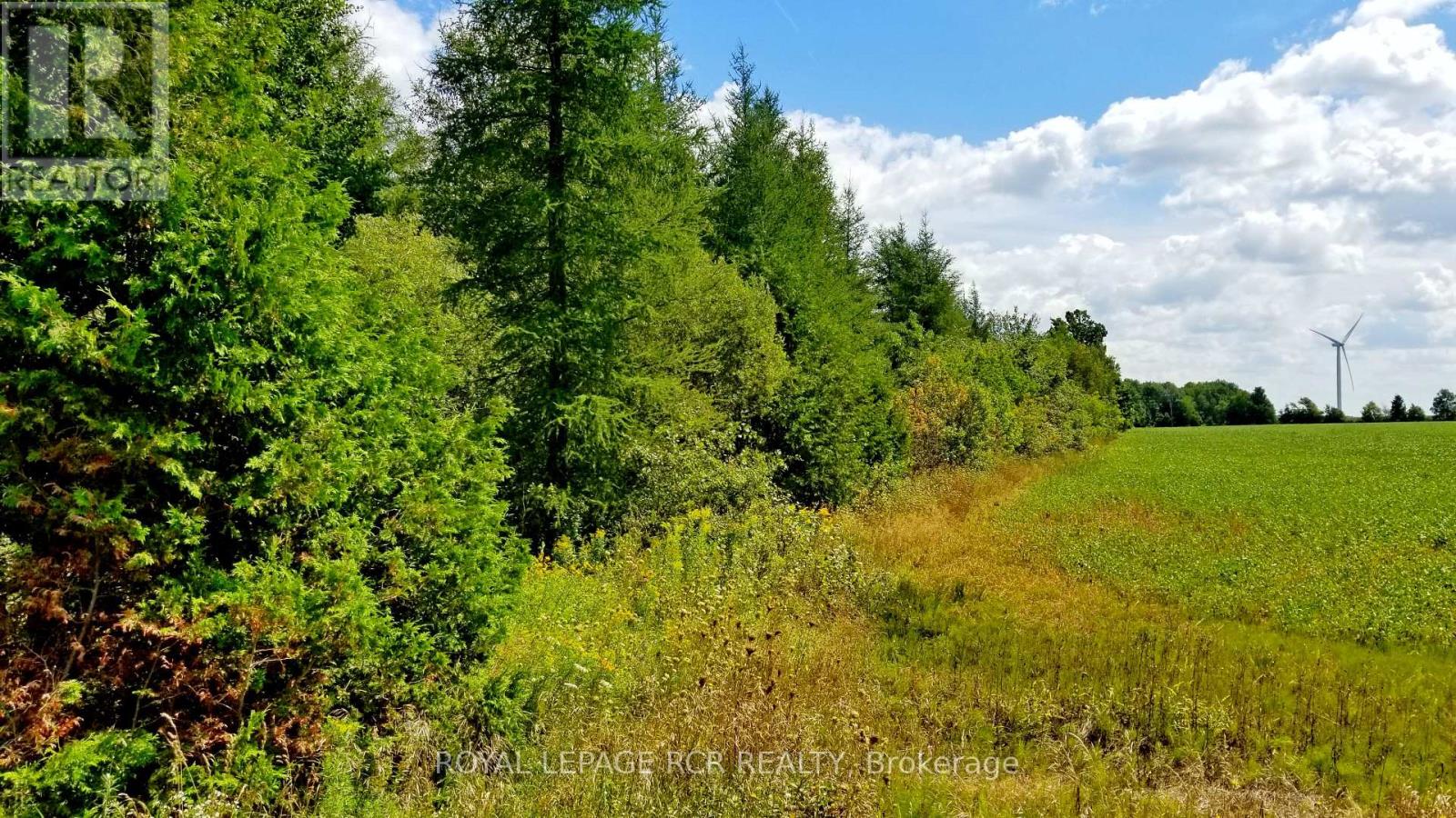 LOT 31 9 COUNTY ROAD, Melancthon — photo 4