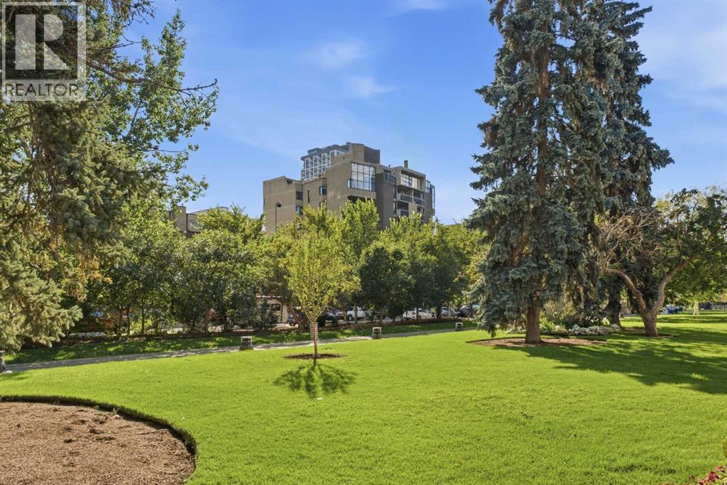 203, 323 13 Avenue SW - photo 47