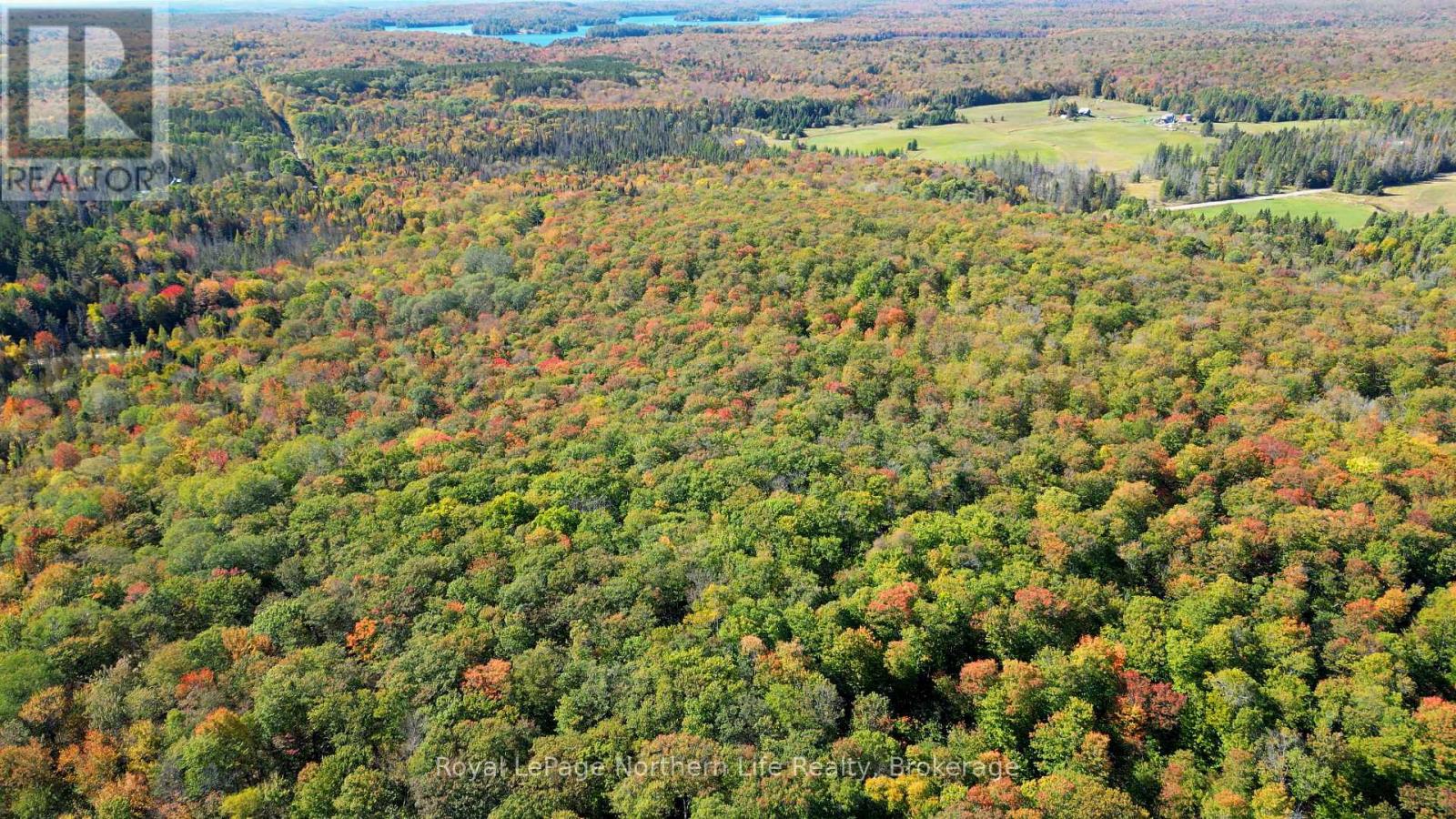 PT LT 5 CON 14 SOUTH HORN LAKE ROAD, Armour — photo 11