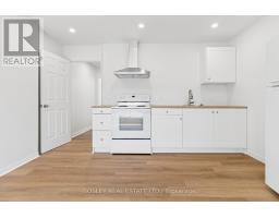 1167 Dundas Street W, Toronto, ON M6J1X3 Photo 21
