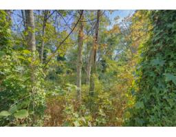 23 2270 196 Street, Langley, BC V2Z1N6 Photo 31