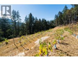 370/400 Baker Rd, Salt Spring, BC V8K2N5 Photo 33