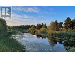 29 Ness Drive, Richmond Hill, ON L4S0J8 Photo 24