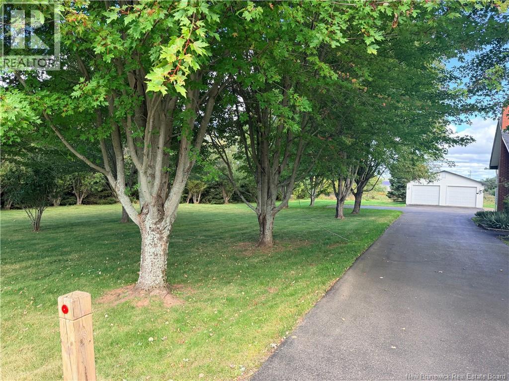 12 Meredith Drive - 6