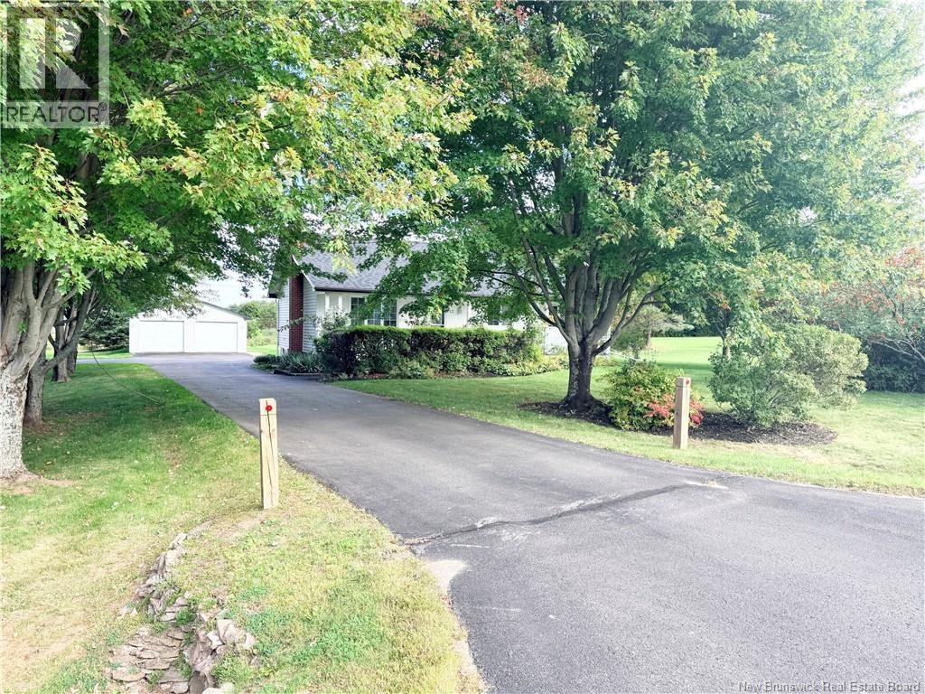 12 Meredith Drive - 5