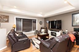 Recreation room - 49 Brooklyn Bay, Steinbach, MB R0A0W2 Photo 8