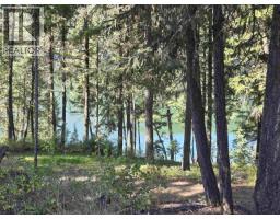 Lot 1 Mcleese Lake Road, Williams Lake, BC V0L1P0 Photo 12