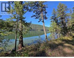 Lot 1 Mcleese Lake Road, Williams Lake, BC V0L1P0 Photo 7
