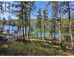 Lot 1 Mcleese Lake Road, Williams Lake, BC V0L1P0 Photo 10