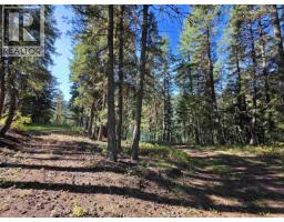 Lot 1 Mcleese Lake Road, Williams Lake, BC V0L1P0 Photo 15