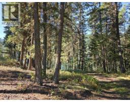 Lot 1 Mcleese Lake Road, Williams Lake, BC V0L1P0 Photo 16