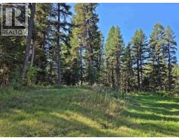 Lot 1 Mcleese Lake Road, Williams Lake, BC V0L1P0 Photo 19