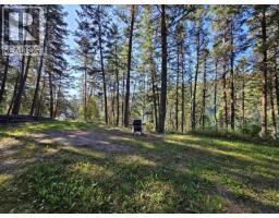 Lot 1 Mcleese Lake Road, Williams Lake, BC V0L1P0 Photo 14