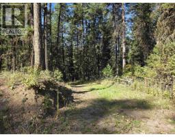 Lot 1 Mcleese Lake Road, Williams Lake, BC V0L1P0 Photo 17