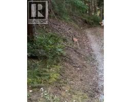 135 Fairway Dr, Salt Spring, BC V8K1M6 Photo 34