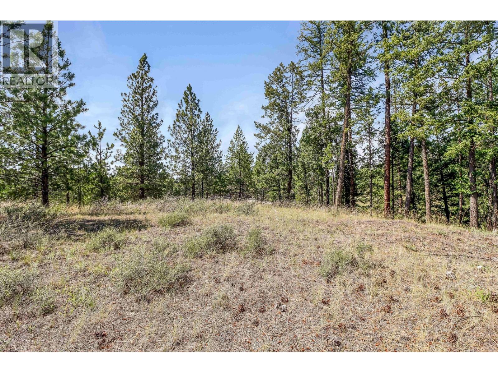 4 of 13 - 241 Corral Boulevard