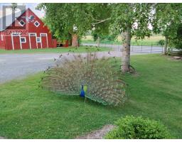 155 Storie Road, Horton, ON K7V3Z8 Photo 35
