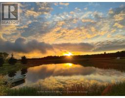 155 Storie Road, Horton, ON K7V3Z8 Photo 33