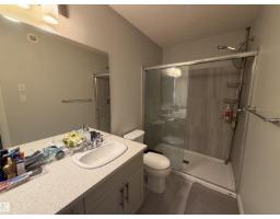 2628 Donaghey Cr Sw, Edmonton, AB T6W4T2 Photo 14